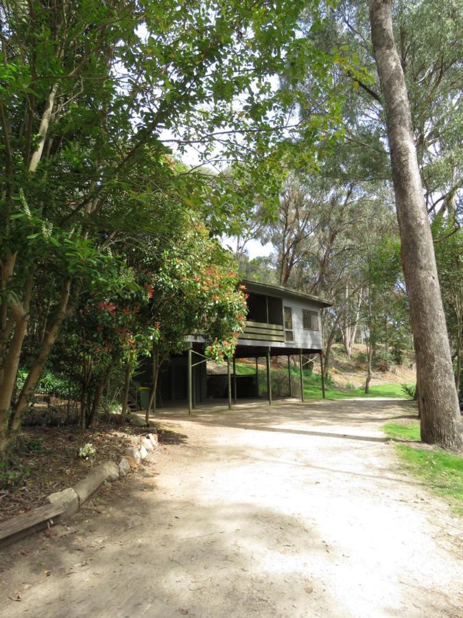 Beechworth Holiday Park Экстерьер фото