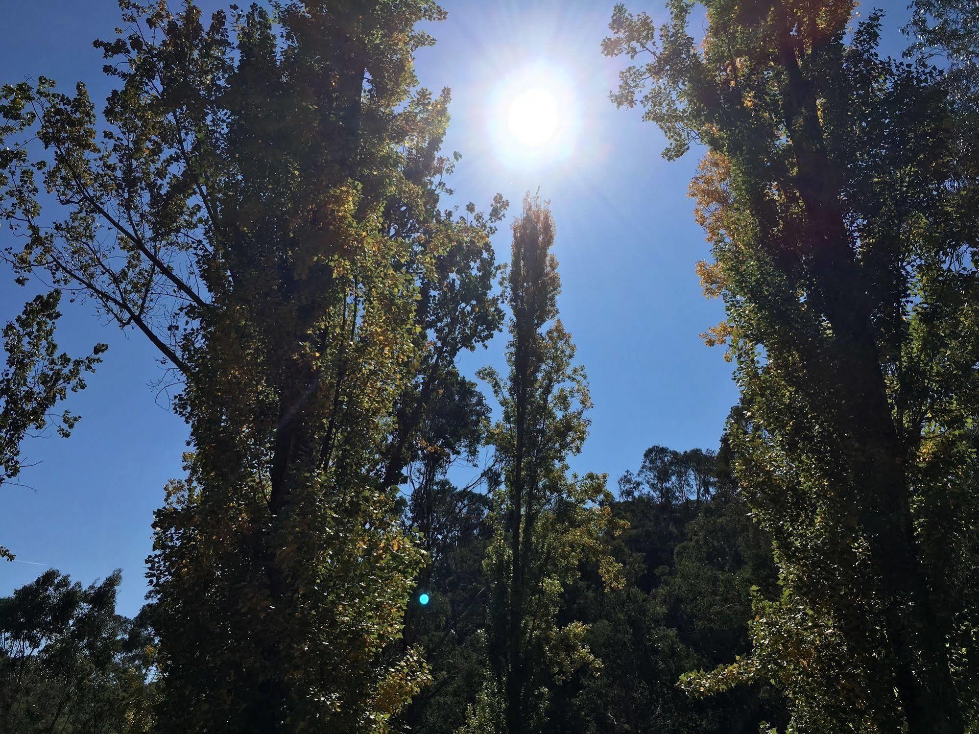 Beechworth Holiday Park Экстерьер фото